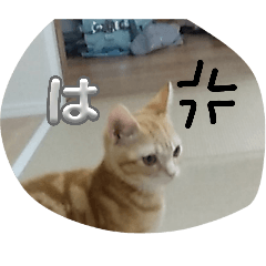 HANA_20260517153803