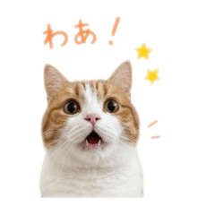YUKA_20260524223205