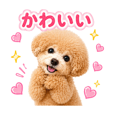 tenten_20260524224049