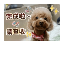BaBy上班