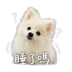 蛋蛋棉花糖