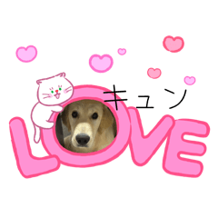 RUNA_20260524225931