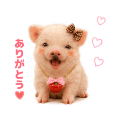 MOUfU_20260524225827