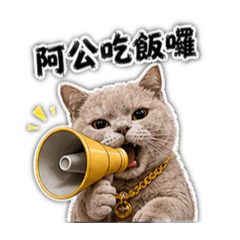 金鍊小毛日常2