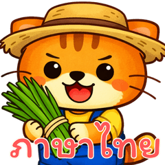 オレンジ猫トレーダー (タイ)