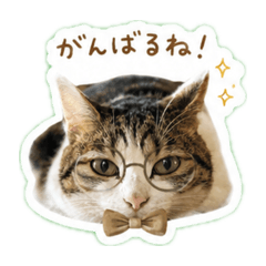 CHIKA_20260525064750