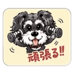 HANA_20260525072457