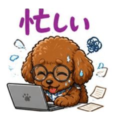 CHIKAKO_2026052508412