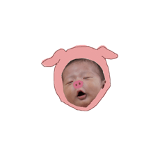 aokun animal