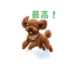 CHIKAKO_20260525080747