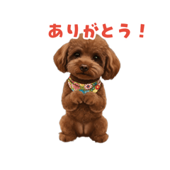 CHIKAKO_20260525095215