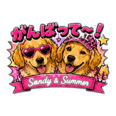 Milo_20260525104452