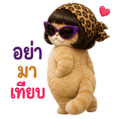 แมวส้ม-เดอะแม่
