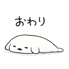 serori_20260525105931