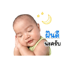 kamo_20260429144009