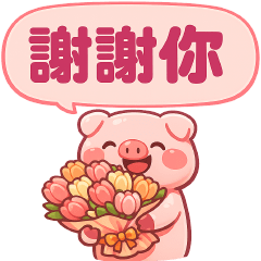 可愛豬--日常實用貼--
