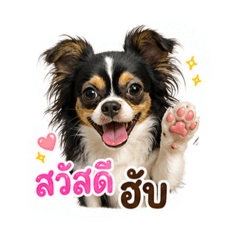 Risa_20260429144641