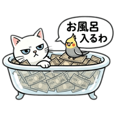 norineko71_20260604113032