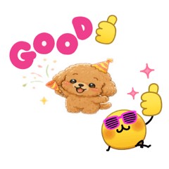Cute Toy Poodle 8Sticker