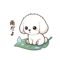 Maltese rainy and summer stickers