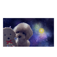 KM_20260525130317