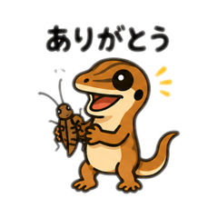 kanahebi kamu Japanese grass lizard