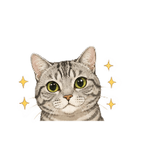 ichi_20260525144124