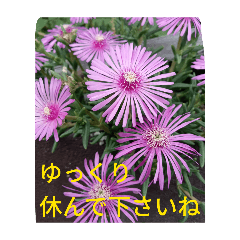 May morning
