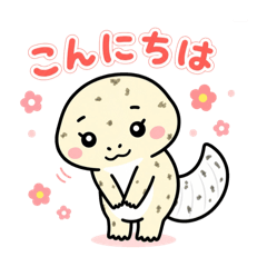 CHANchan_20260525130810