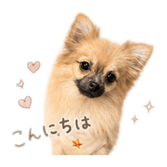 yuka_20260525145425