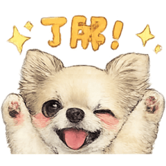 Chiro_koro