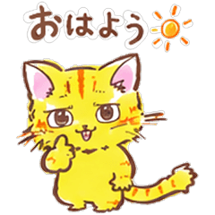 Fluffy Tabby Cat Messages