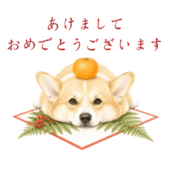 Corgi  Holiday Season & New Year