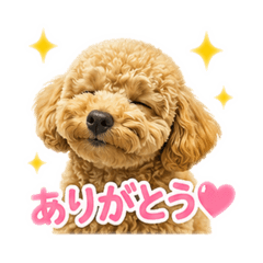 masa_20260525173050