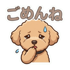 HANA_20260525180744