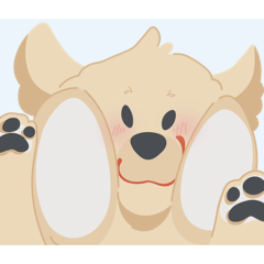 Golden baby dog !