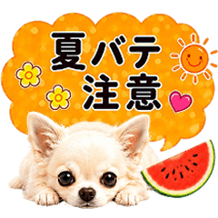 The awareness of the speech dog summer