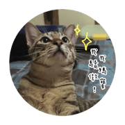 CCCCCCat