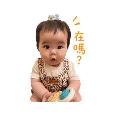 屁寶日常風格