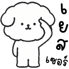 คอตตอน หมาน้อยแสนซน
