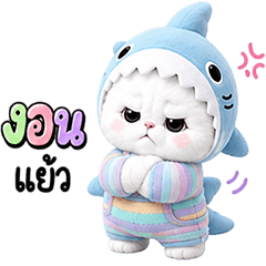 cat shark so cute ja
