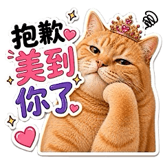 漂亮貓咪發言中