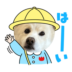 wanko'ss