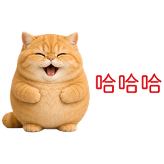 橘貓小短腿大哥！