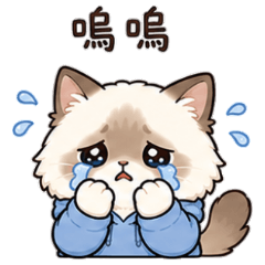 Cute kitty, woof woof