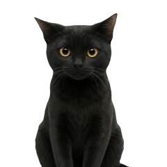 動く黒猫の毎日使える日常会話スタンプ1