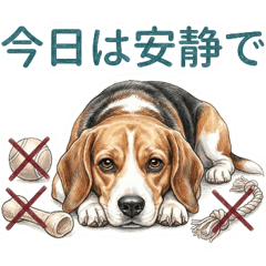 Beagle Pet Info Sharing (Tricolor)