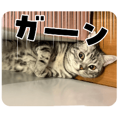 YUKA_20260529213227