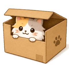 Box-Loving Norwegian Calico Cat