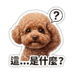 精緻貓狗在一家_可愛沒路用